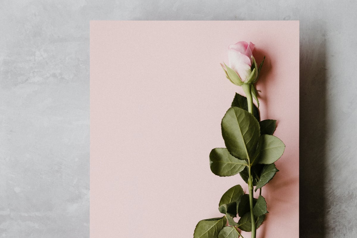 Valentine's Day: Swoon-worthy romance book recommendations to celebrate Love Day