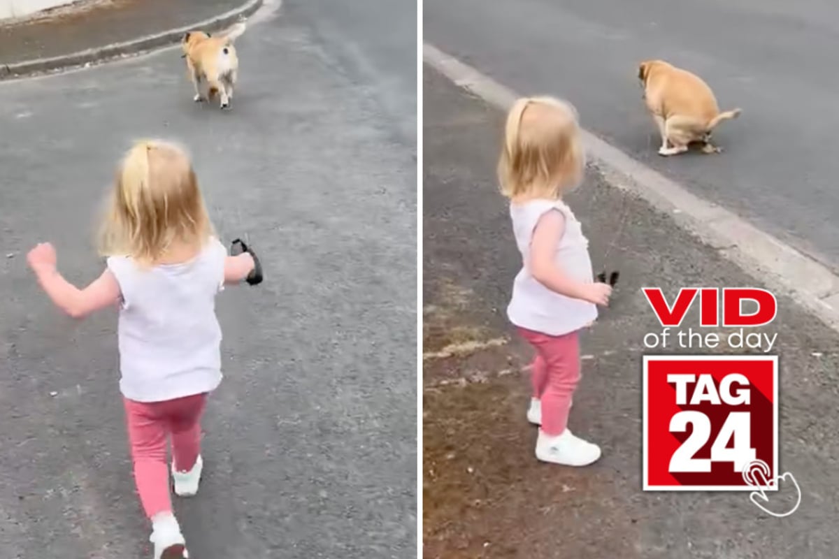 Viral Video of the Day for October 19, 2026: Little girl's dog walk takes a hilarious turn when retractable leash meets poop