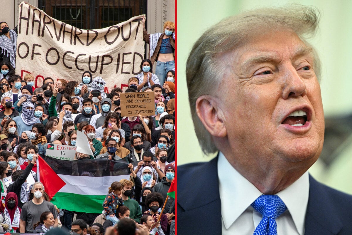 Trump takes major legal hit as court sinks Harvard antisemitism case