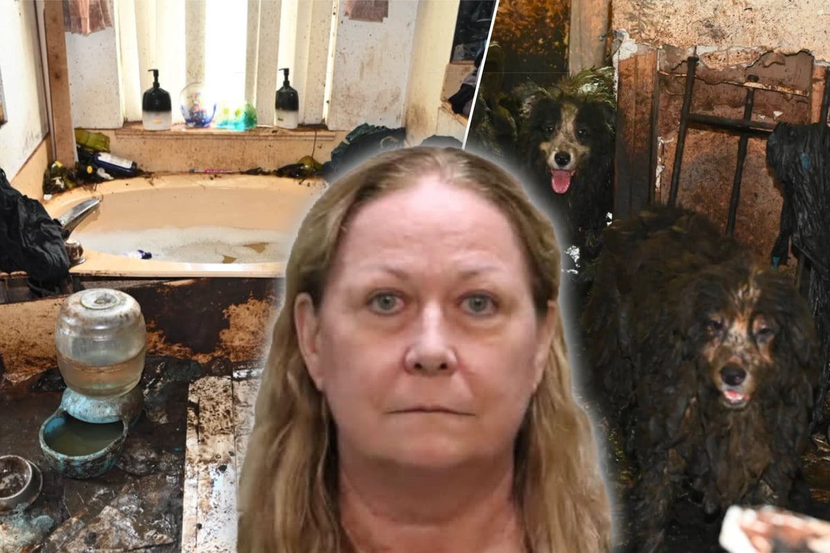 These 30 dogs were rescued truly abhorrent conditions!