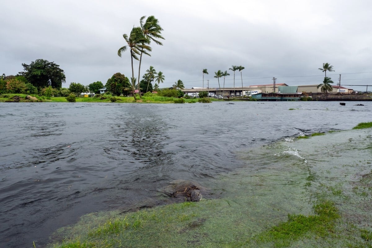 Hawaii faces life-threatening flooding, mudslides after Tropical Storm Lala makes lashing landfall