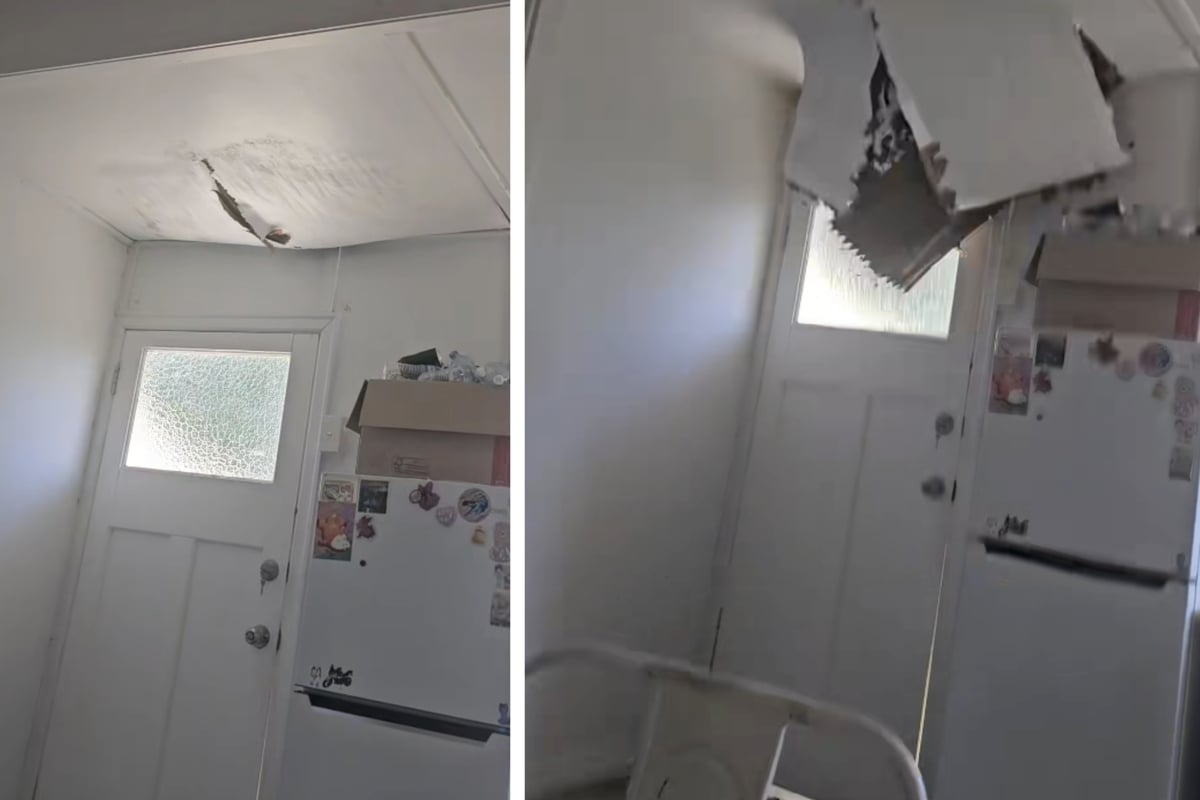 Animal intruder crashes woman's lunch break with dramatic ceiling collapse!