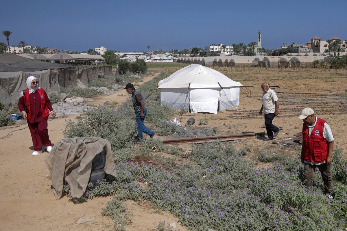 Crucial Gaza seed bank rebuilds after Israeli destruction: "Ray of hope"