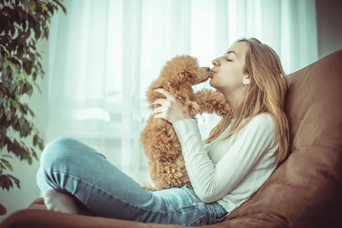Puppy study shows dogs are genetically wired to interact with humans!