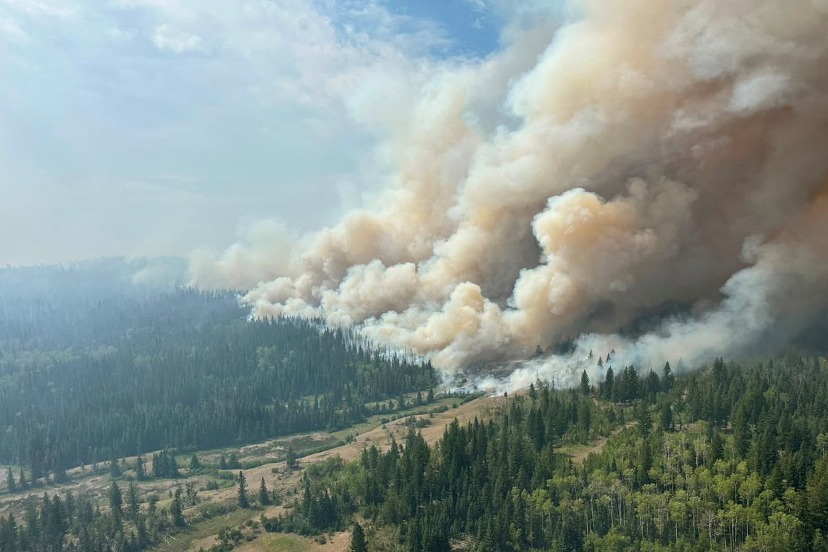 Climate change made Canadian wildfires twice as likely, study finds