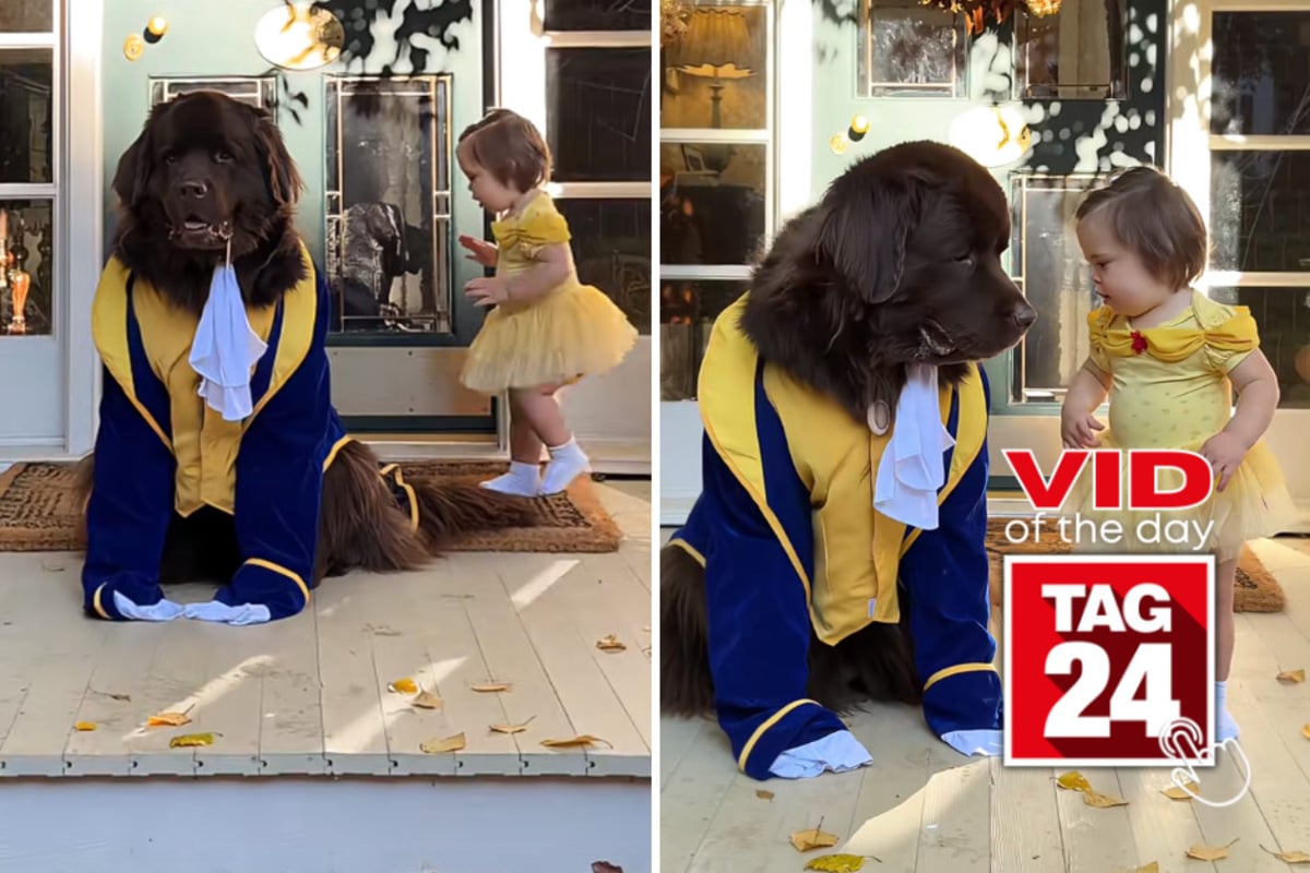 Viral Video of the Day for October 31, 2026: Toddler Belle and her dog Beast make the cutest Halloween duo!