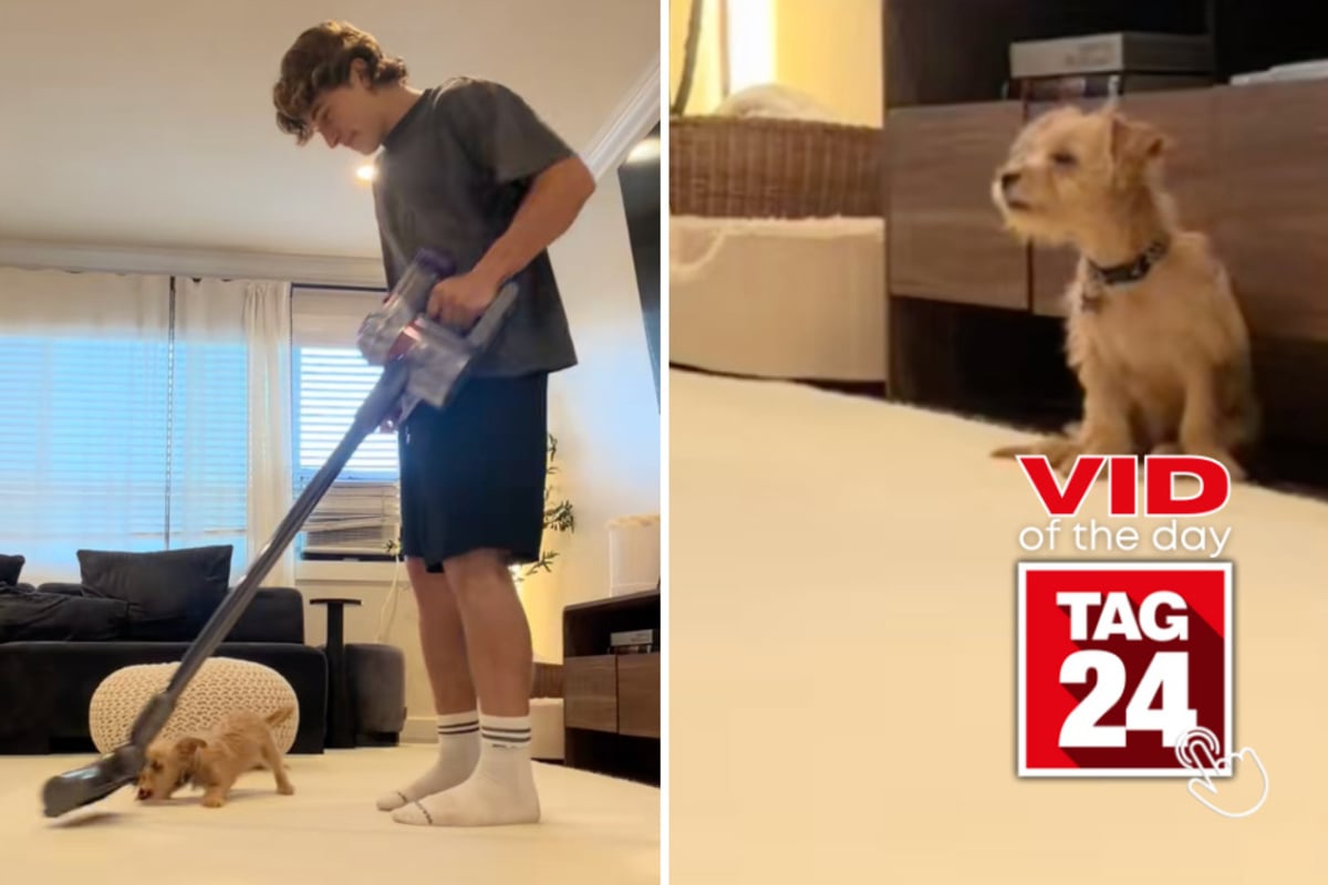 Viral Video of the Day for August 28, 2026: Dog stops barking at vacuum after owner tries hilarious trick