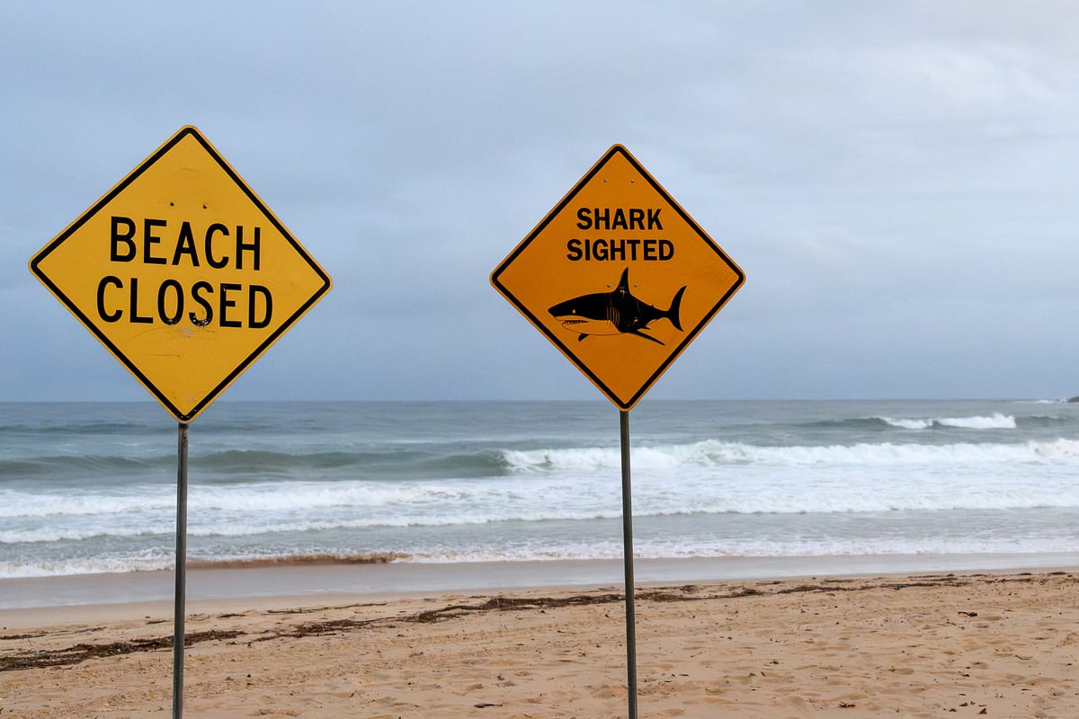 Shark kills swimmer off beach in Western Australia