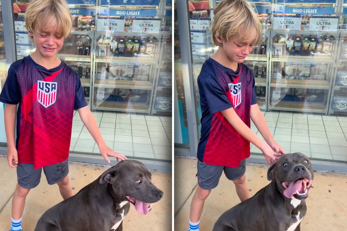 Little boy can't stop crying when he finds an abandoned dog – then his mom makes a heartwarming choice