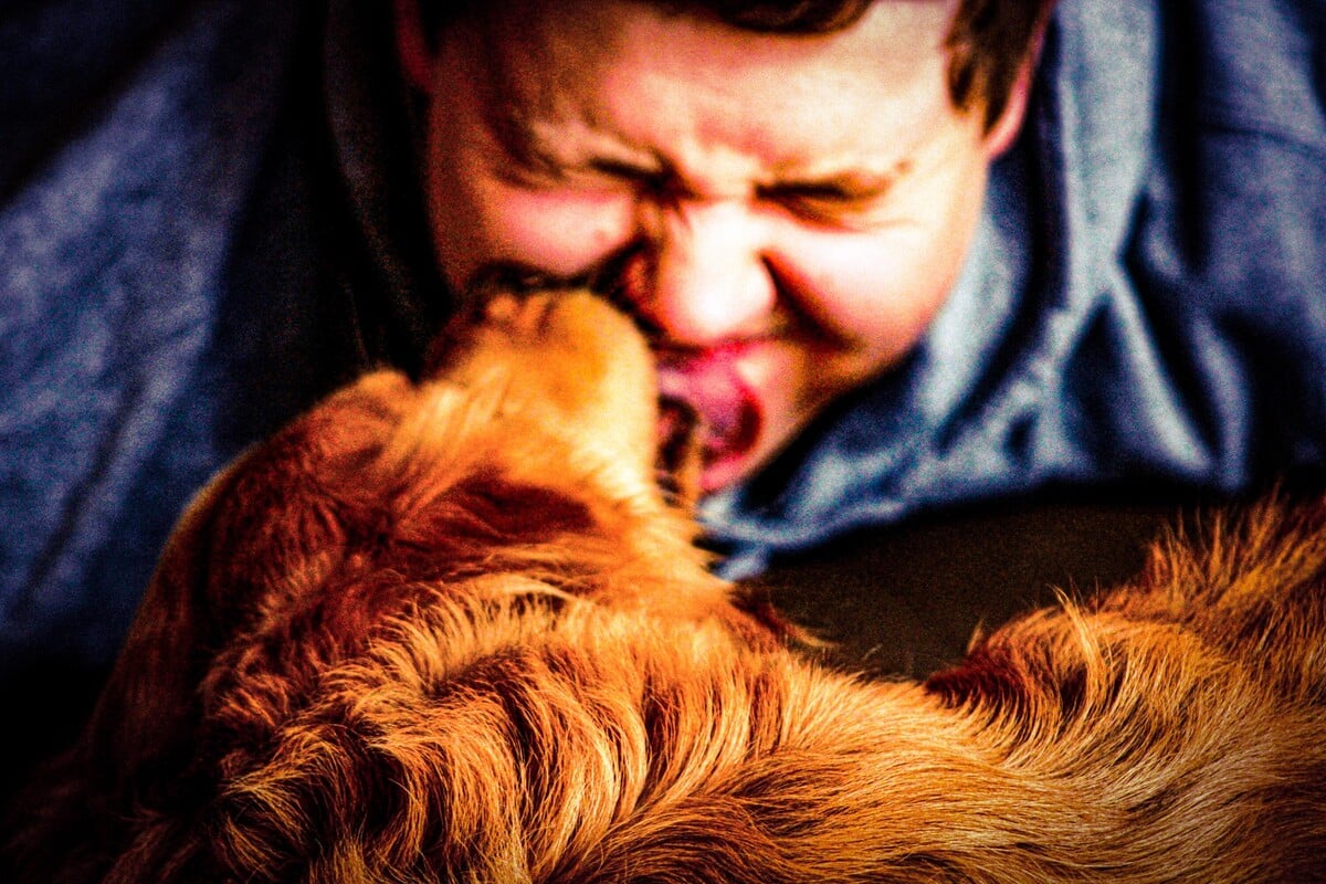 Why do dogs lick you when you pet them and how can you stop it?