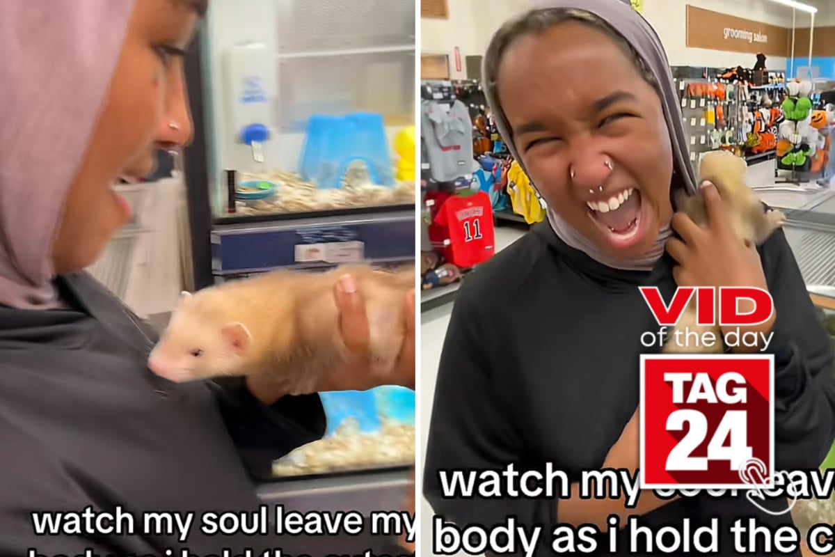 Viral Video of the Day for September 8, 2026: Ferret crawls into girl's hijab at pet store, sending her into hysterics