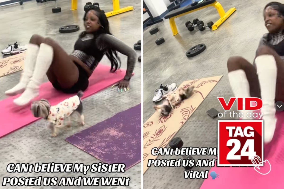 Viral Video of the Day for August 14, 2026: Dog sees owner doing crunches at the gym – and decides to join in!