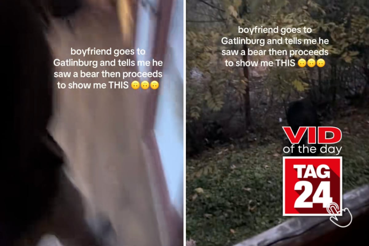 Viral Video of the Day for September 12, 2026: Man gets too close to bear – and has to sprint for his life!