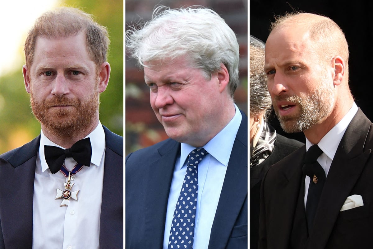 Princess Diana's brother says his allegations against Charles "will not be a surprise" to Harry and William