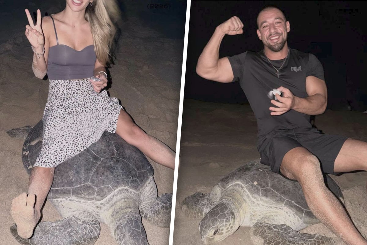 Outrage as influencer couple sits on endangered sea turtle and plays with baby