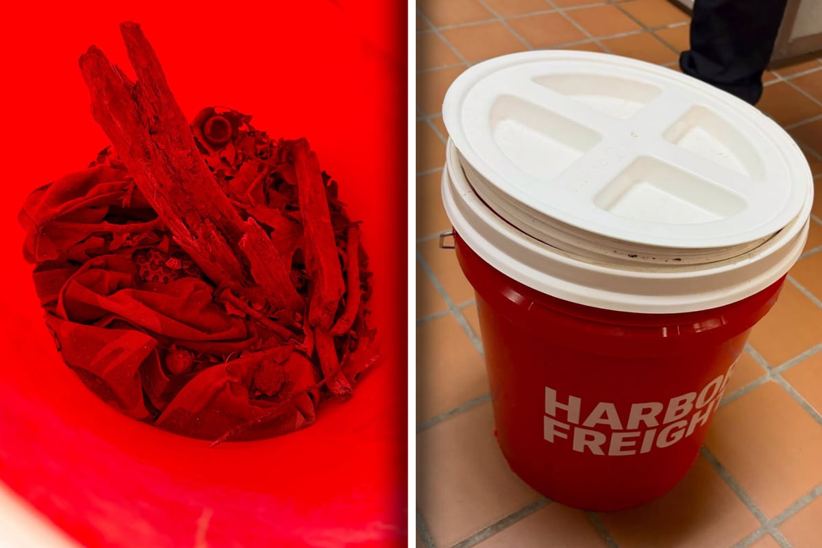 Strange bucket near animal shelter rattles employees with a dangerous surprise!