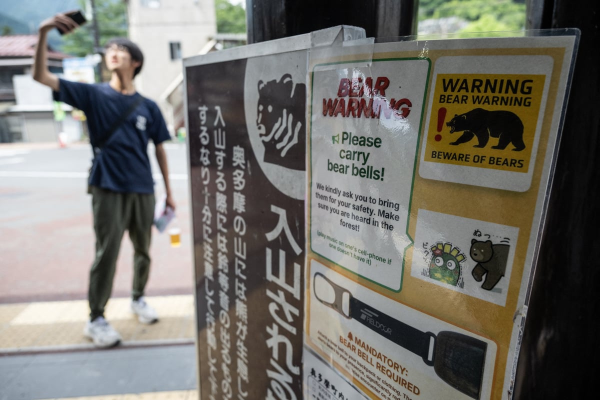 Suspected bear attack under investigation in Japan amid alarming streak of fatal incidents