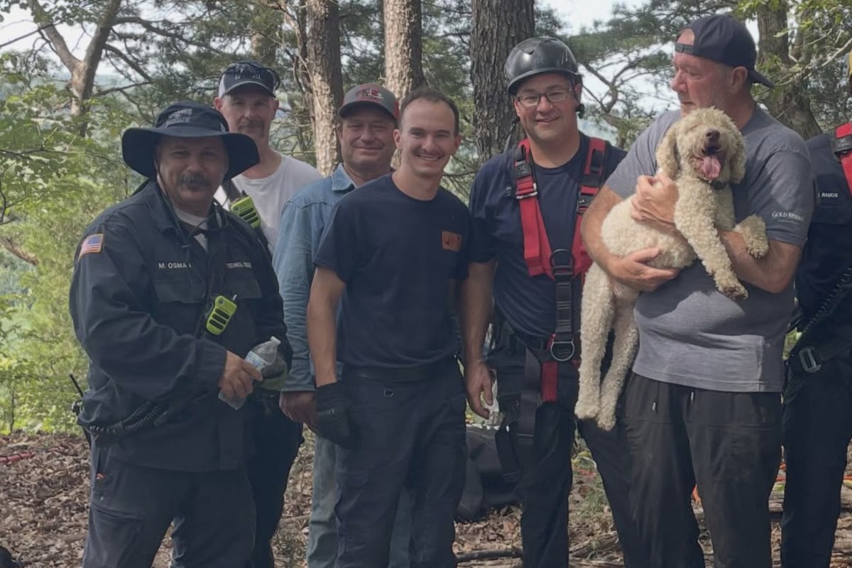 17 hours on the edge for a dog named carl ends in dramatic drone rescue!