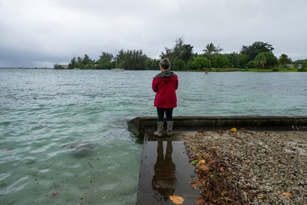 Hurricane Lala pulls away from Hawaii's Big Island as wind and flooding warnings persist