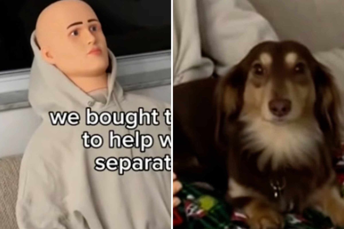 Dog with separation anxiety gets emotional support mannequin, and viewers are terrified