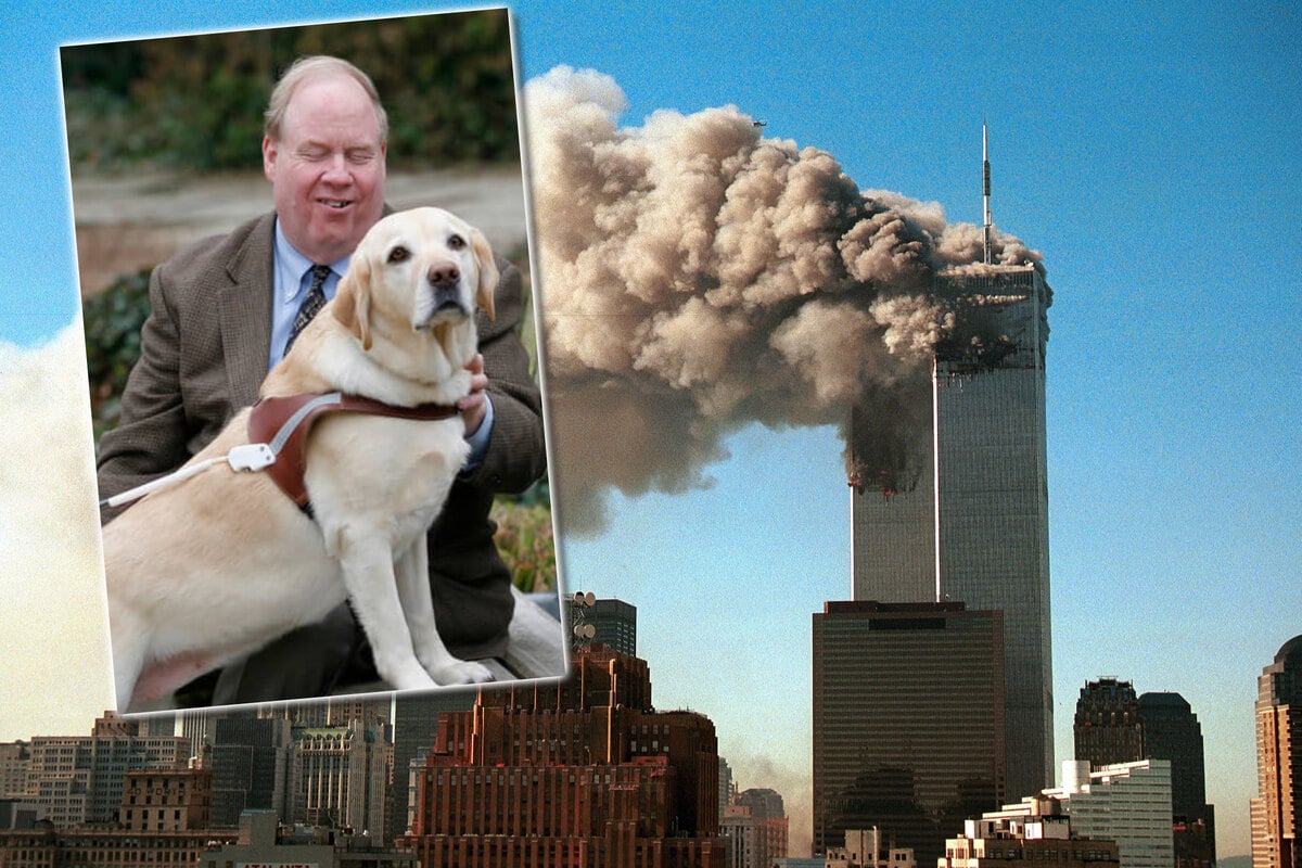 How a dog saved its blind owner from the 78th floor of the World Trade Center on 9/11