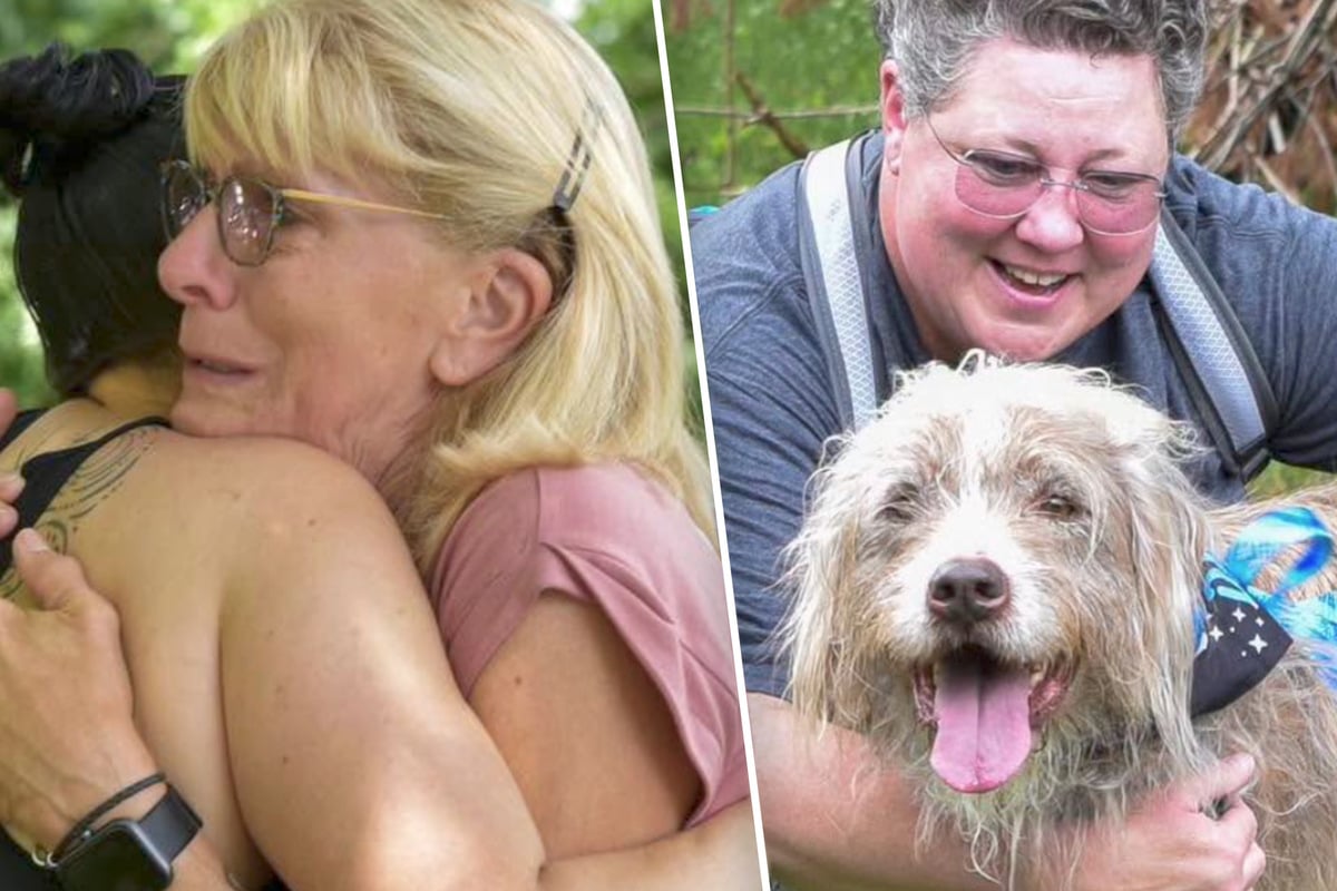 Happy days: Maryland shelter's "longest reigning resident" dog finally finds a home!