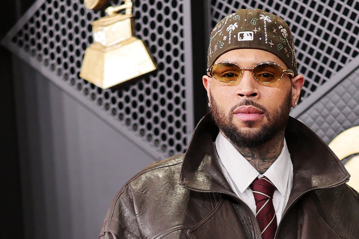 Chris Brown ordered to pay millions over his dog's horrific attack on housekeeper