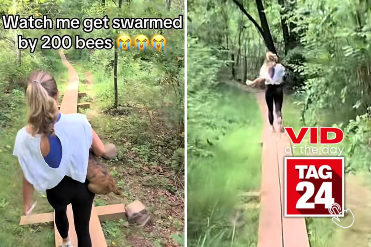 Viral Video of the Day for August 31, 2026: Couple's peaceful hike turns chaotic after "200 bees" attack boyfriend
