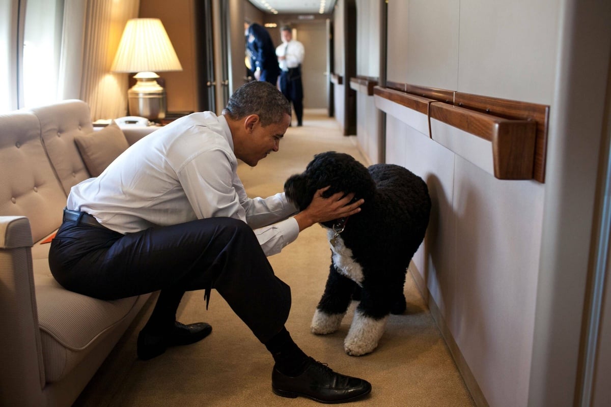 Barack Obama mourns the loss of his beloved dog Bo