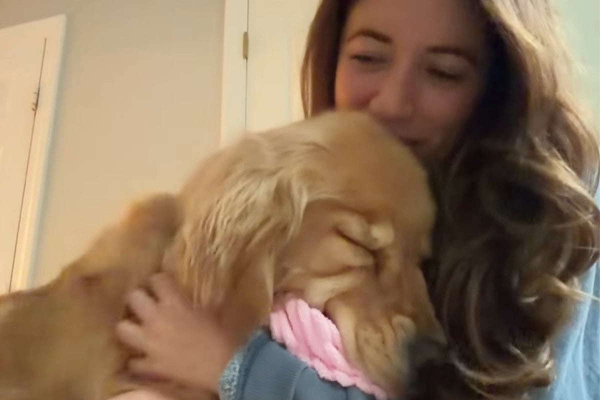 Watch this dramatically sweet pup give its owner the ultimate guilt trip!