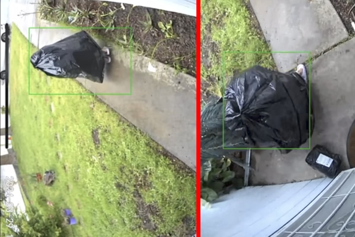 Thief takes on wild disguise in brazen porch robbery
