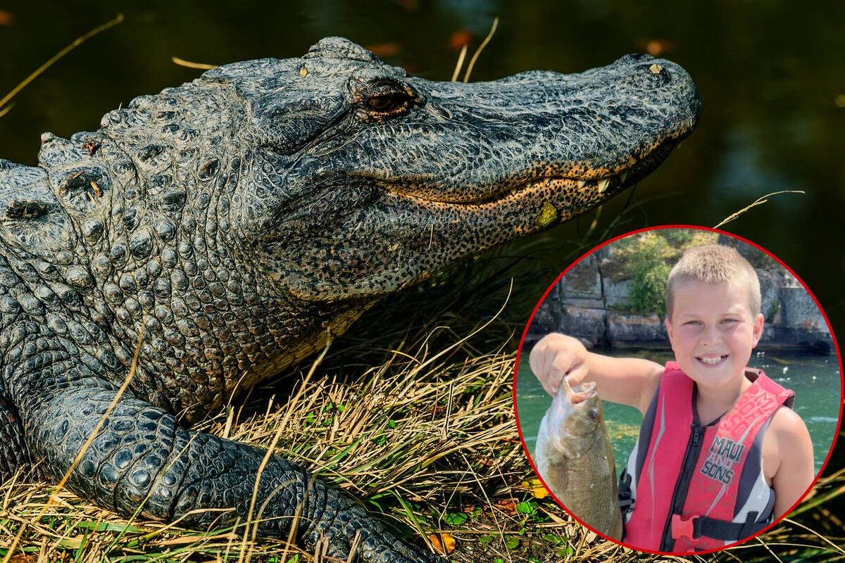 11-year-old boy loses his hand in violent alligator attack: "He is definitely afraid of Florida"