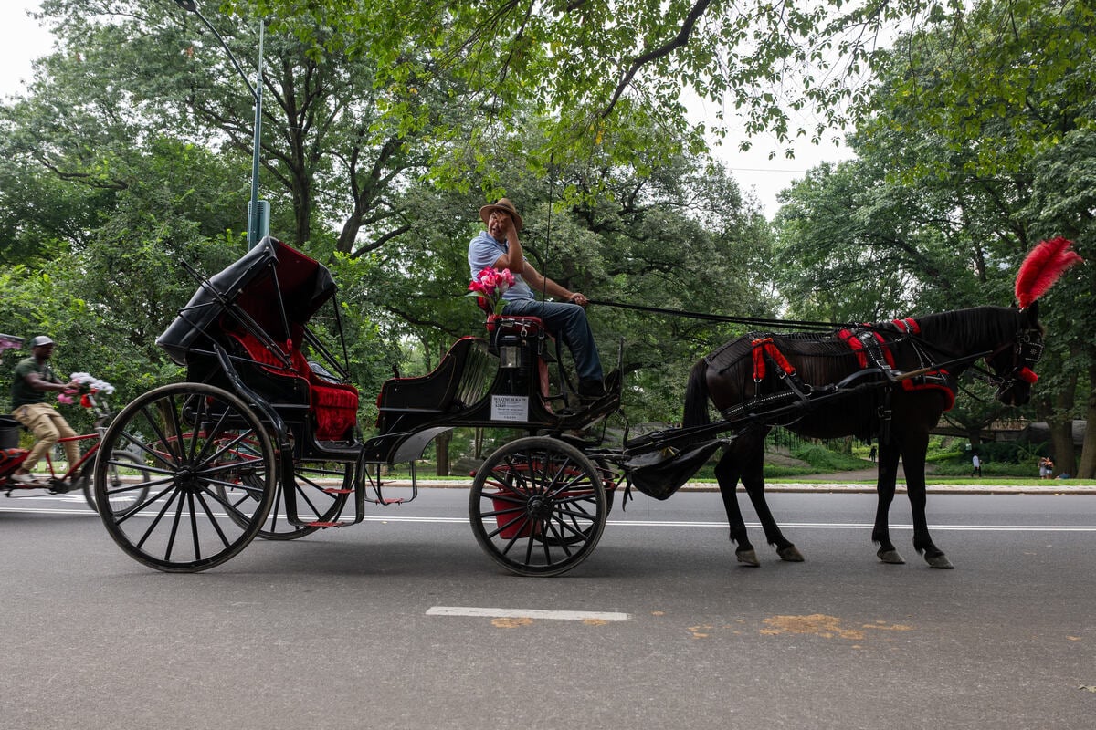 Mamdani vows to end New York Central Park's horse-drawn carriage rides