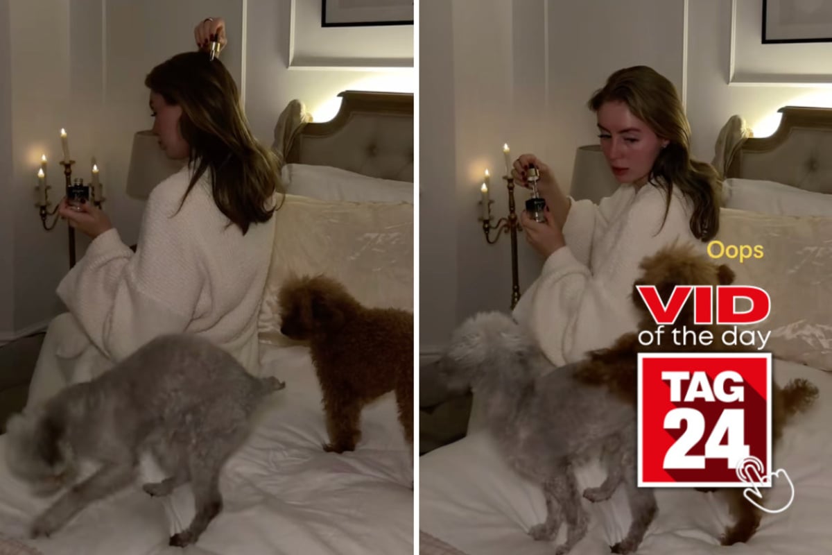 Viral Video of the Day for October 27, 2026: Dogs completely ruin woman's attempt at aesthetic TikTok