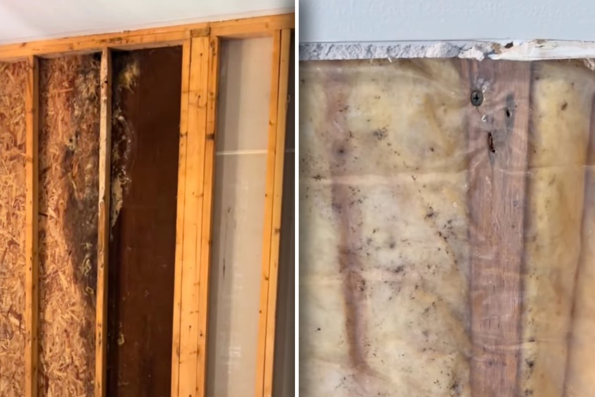 Family spends fortune renovating their house, but the result shocked everyone: "Still in there"