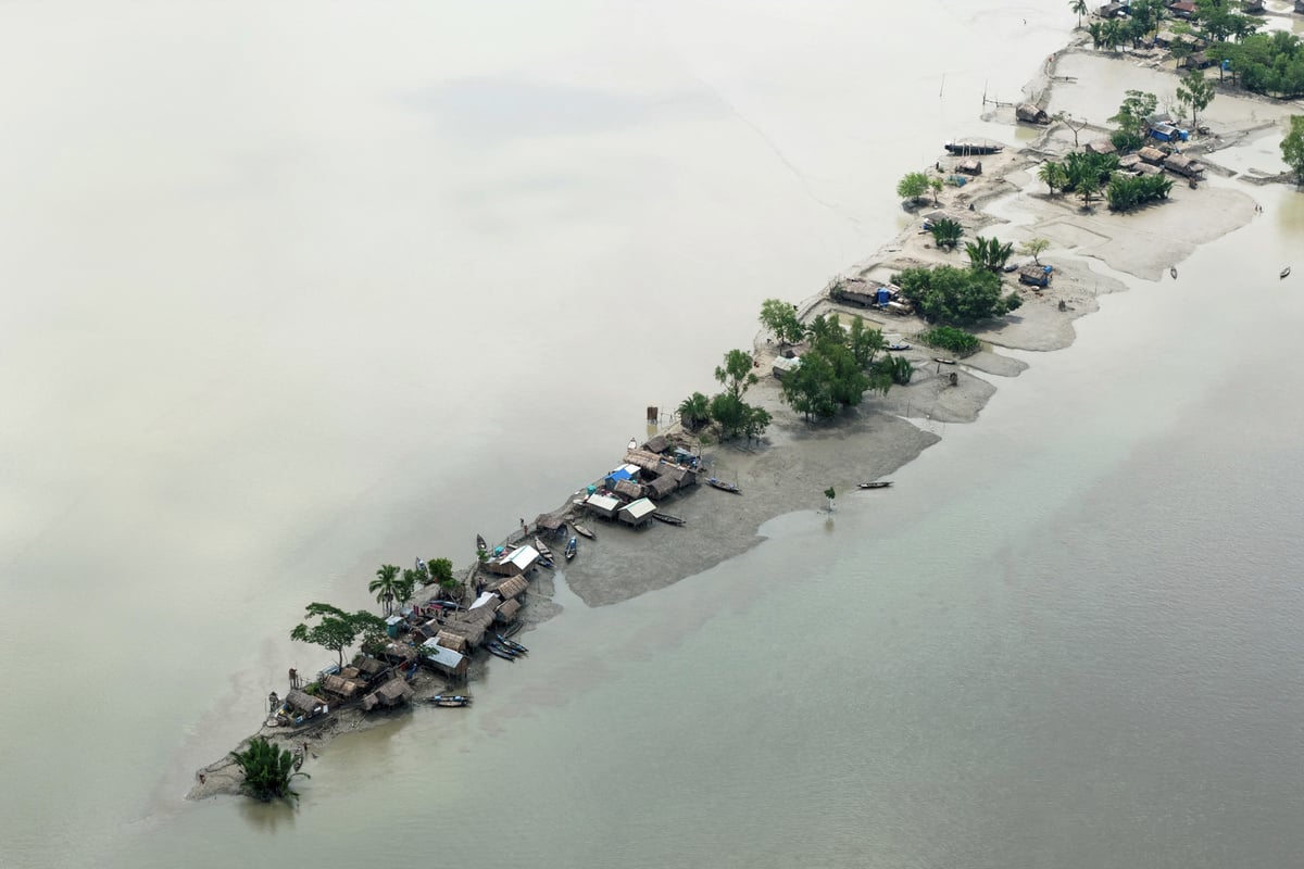 Rising seas threaten spread of invasive marine species, scientists warn