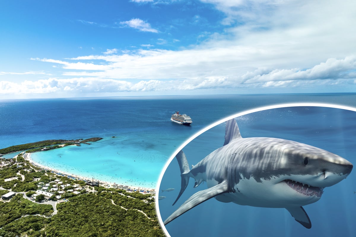 Shark attacks 12-year-old boy in alarming Bahamas incident