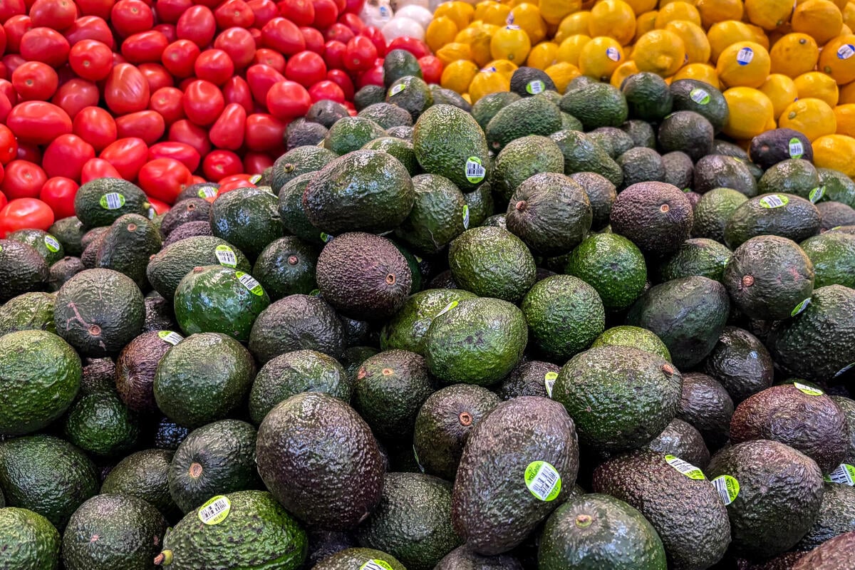 US officially renews Mexican avocado imports after security scare