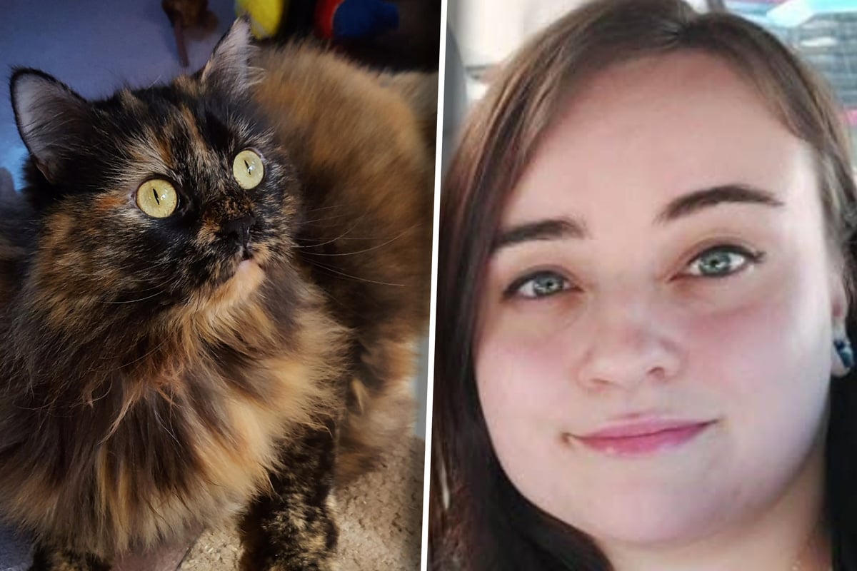 Cats go wild over something hiding under the dresser – and their owner can't believe what she finds