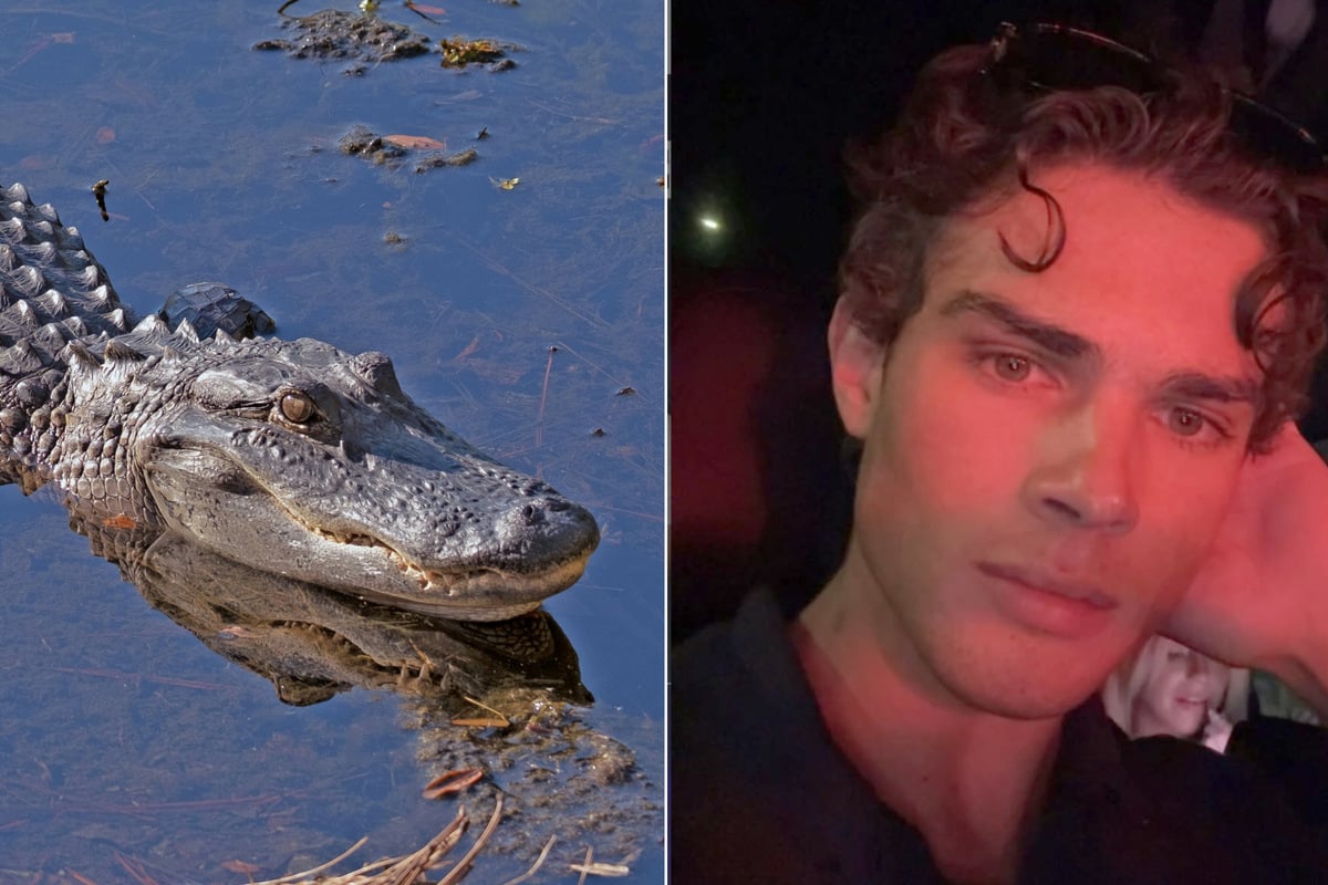 Looksmaxxing influencer Clavicular faces charges for shooting an alligator!