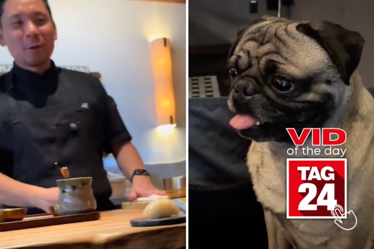 Viral Video of the Day for October 23, 2026: Pug gets a 17-course sushi dinner for his birthday!