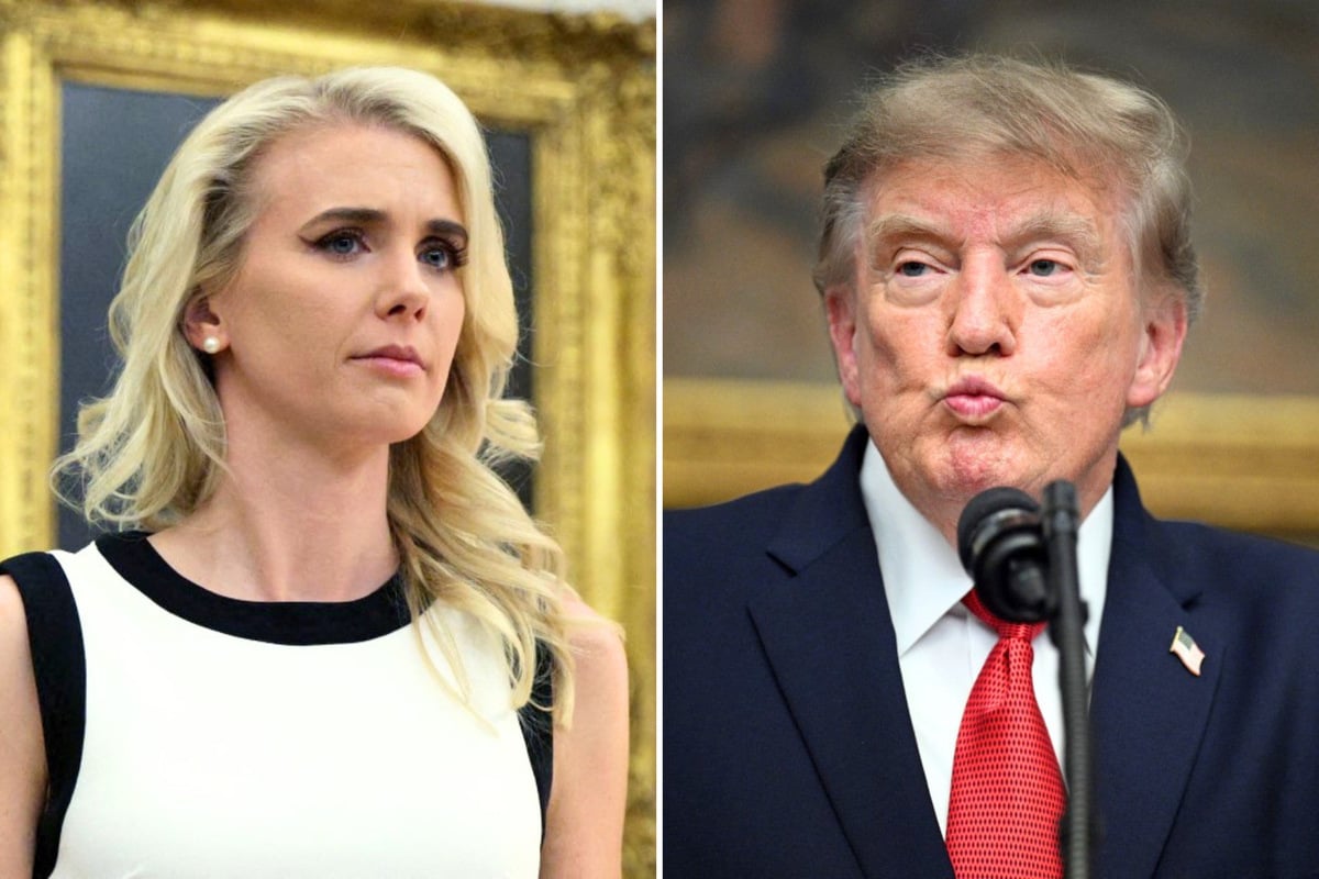 CNN guest doubts Trump's virility in wild interview as Natalie Harp rumors swirl