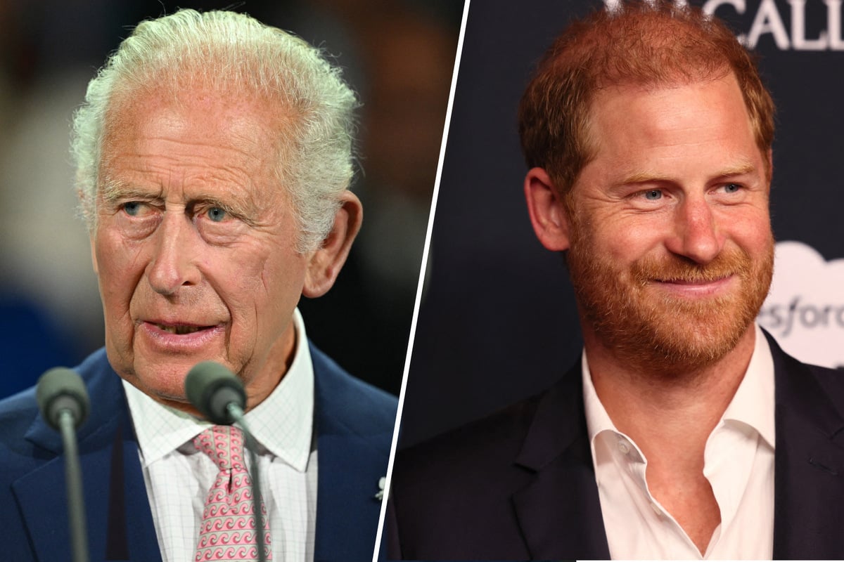 Prince Harry pushes for public reconciliation with King Charles – will he get it?