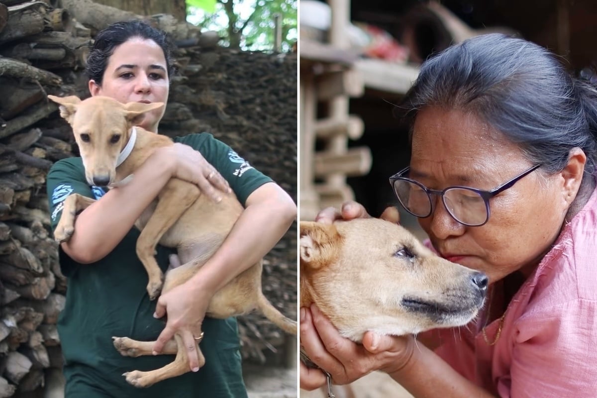 Dozens of kidnapped dogs saved from horrific fate in multi-day rescue operation