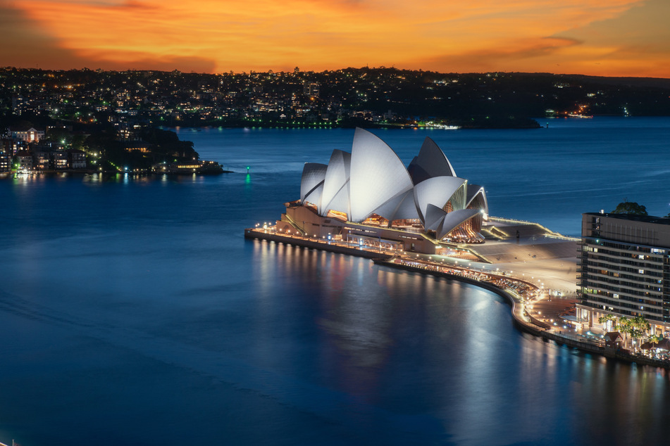 Since the family now lives in Australia, the cat probably won't be able to rejoin them. (Stock image)