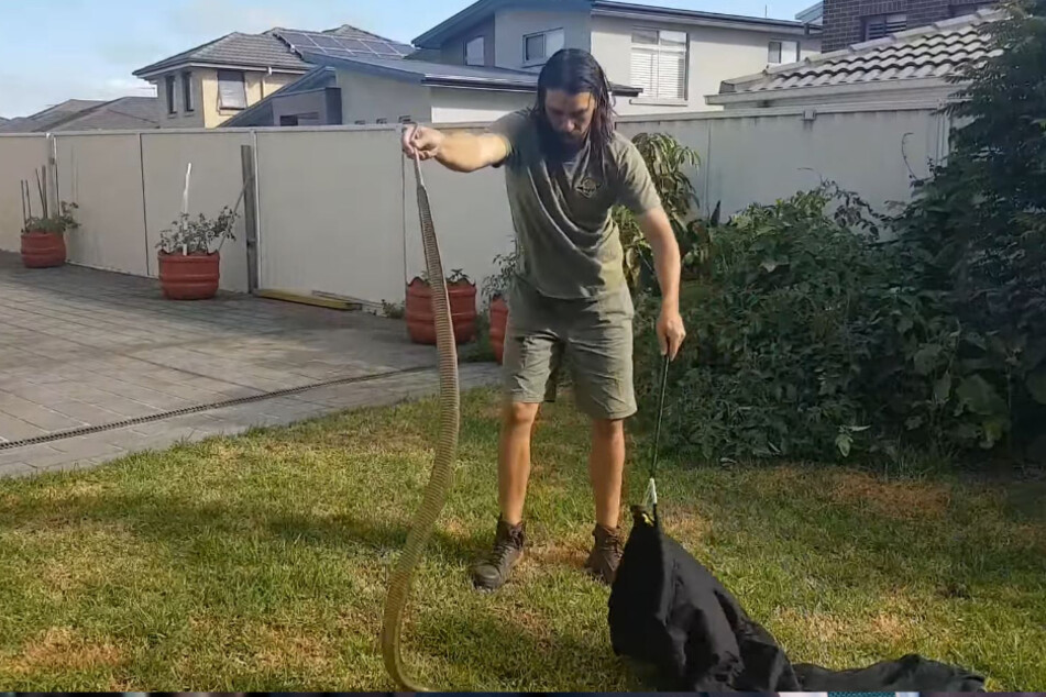 It was "one of the most dangerous snakes" Kane ever had to handle.