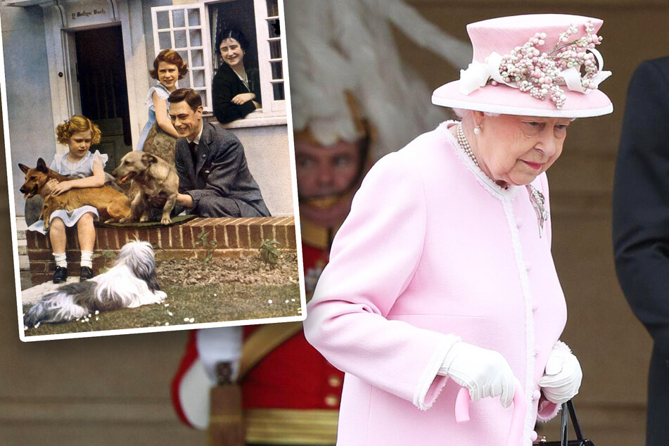 The Queen would apparently rather walk the dogs than speak with Harry on her 95th birthday