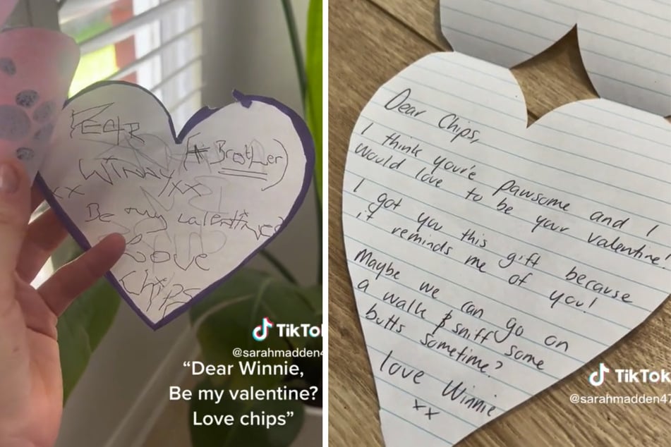 Chips asked his Winnie to be his Valentine with a sweet, heart-shaped greeting card.