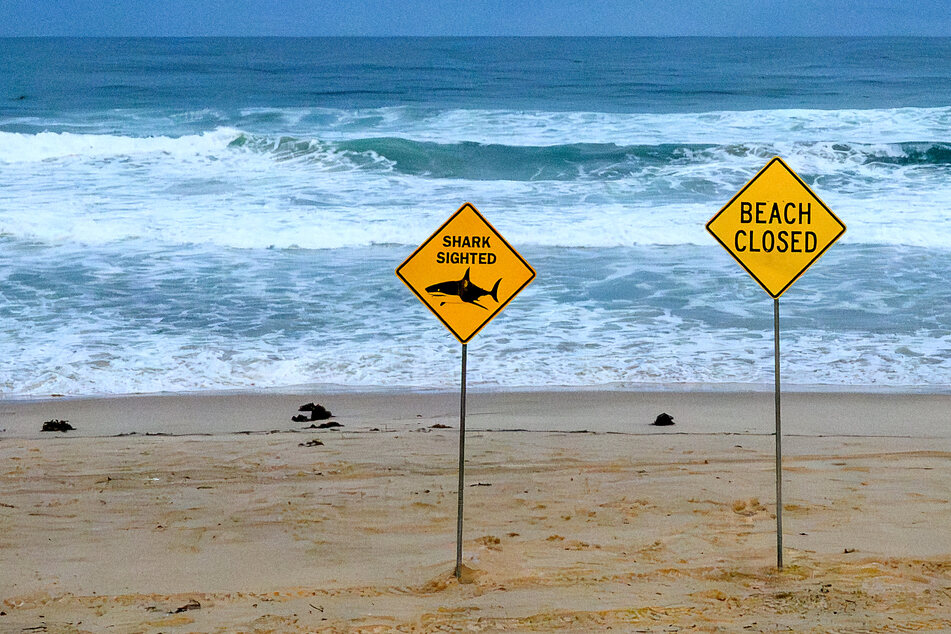 Australia seen a rise in shark attacks, believed to be cause by increasingly crowded waters and rising ocean temperatures.