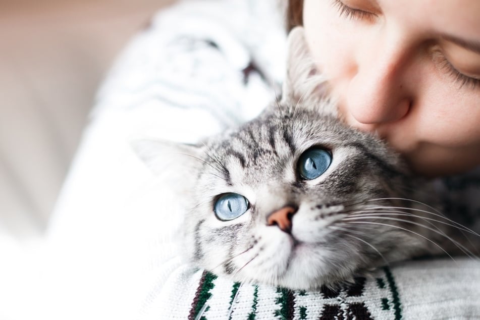 Can cats sense evil in a person?